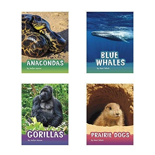 Animals