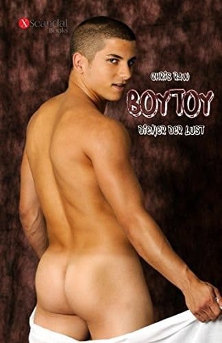 Boytoy Diener der Lust