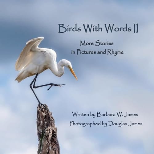 Birds With Words II More Stories in Pictures and Rhyme