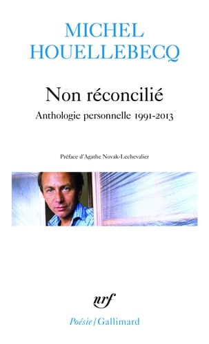 Non réconcilié anthologie personnelle, 1991-2013