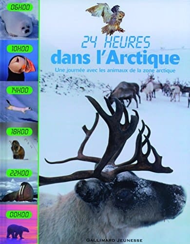 Dans l'Arctique une journée avec les animaux de la zone arctique: UNE JOURNEE AVEC LES ANIMAUX DE LA ZONE ARCTIQUE