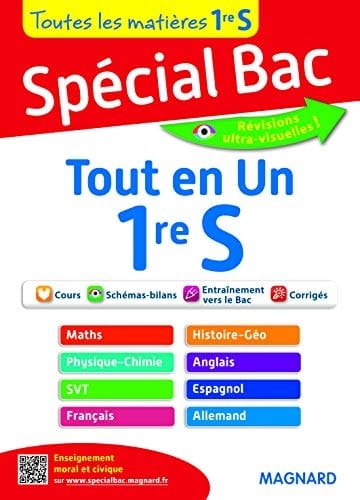 Tout en Un 1re S Toutes les matières