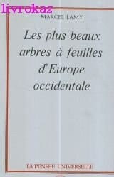 Les plus beaux arbres à feuilles d'Europe Occidentale