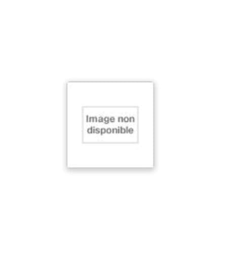 Hemingway - tome 1-1899-1936