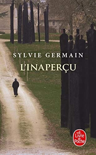 L'inaperçu roman