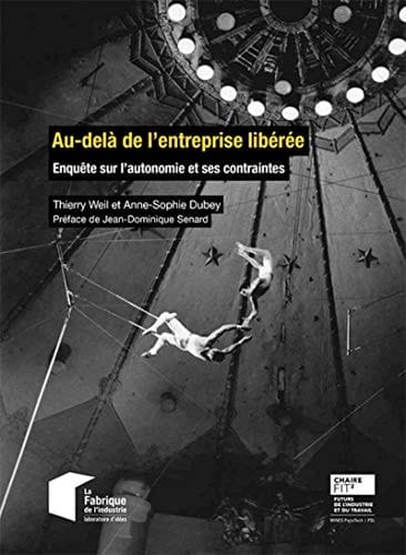 Au-delà de l'entreprise libérée Enquête sur l'autonomie et ses contraintes