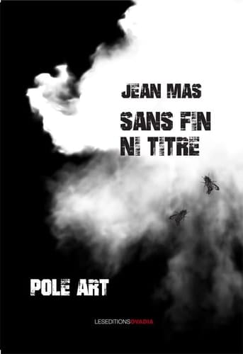 Sans fin, ni titre Pôle art
