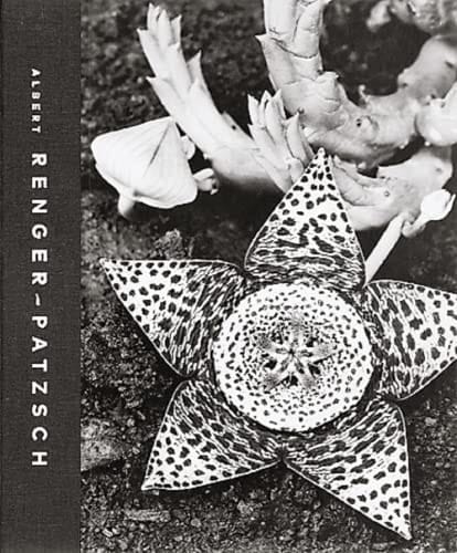 Albert Renger-Patzsch (1897-1966). Les choses