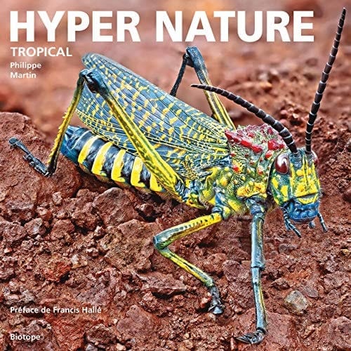 Hyper nature tropical