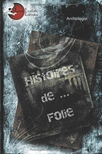 Histoires de... Folie (French Edition)