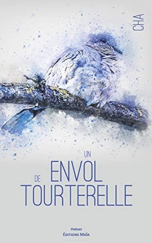 Un envol de tourterelle