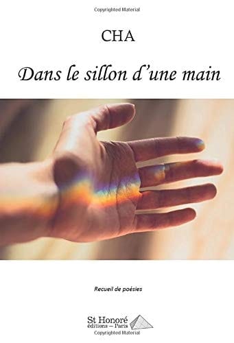 Dans le sillon d'une main