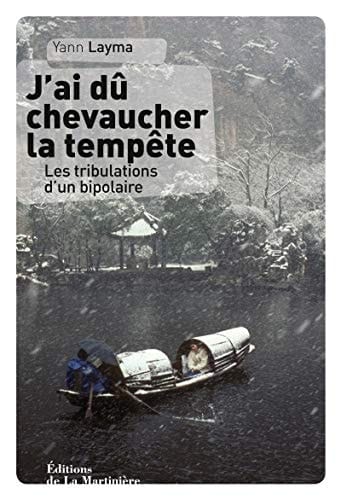 J'ai dû chevaucher la tempête Les tribulations d'un bipolaire