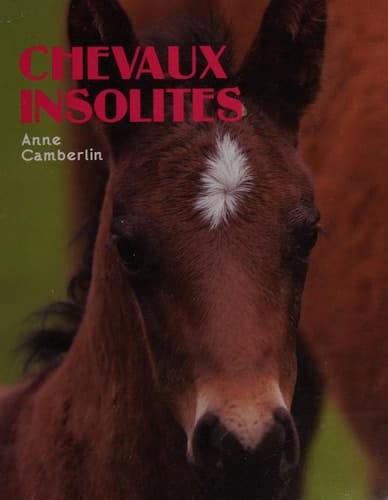 Chevaux insolites