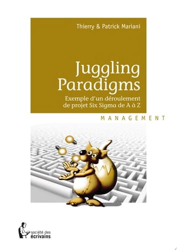 Juggling Paradigms Exemple d’un déroulement de projet Six Sigma de A à Z