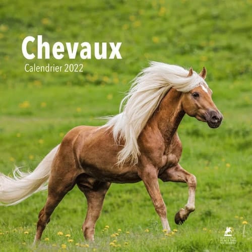 Chevaux