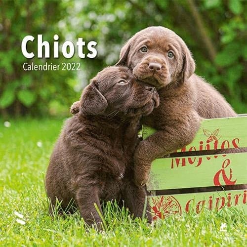 Chiots