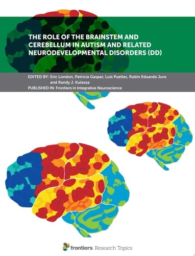 The Role of the Brainstem and Cerebellum in Autism and Related Neurodevelopmental Disorders (DD)