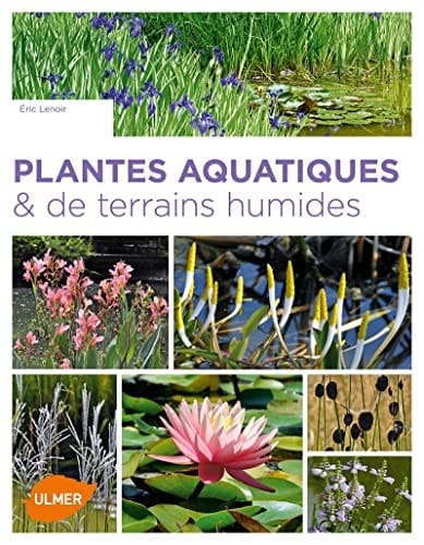 Plantes aquatiques & de terrains humides