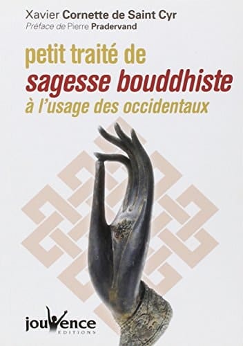 Petit traité de sagesse bouddhiste: à l'usage des occidentaux