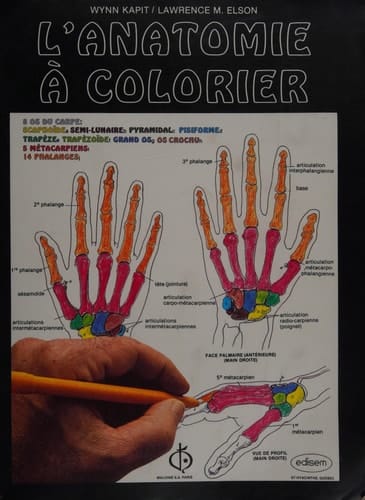 L'anatomie à colorier