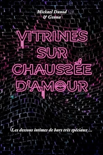 Vitrines sur chaussée d'amour les dessous intimes de bars très spéciaux : témoignage
