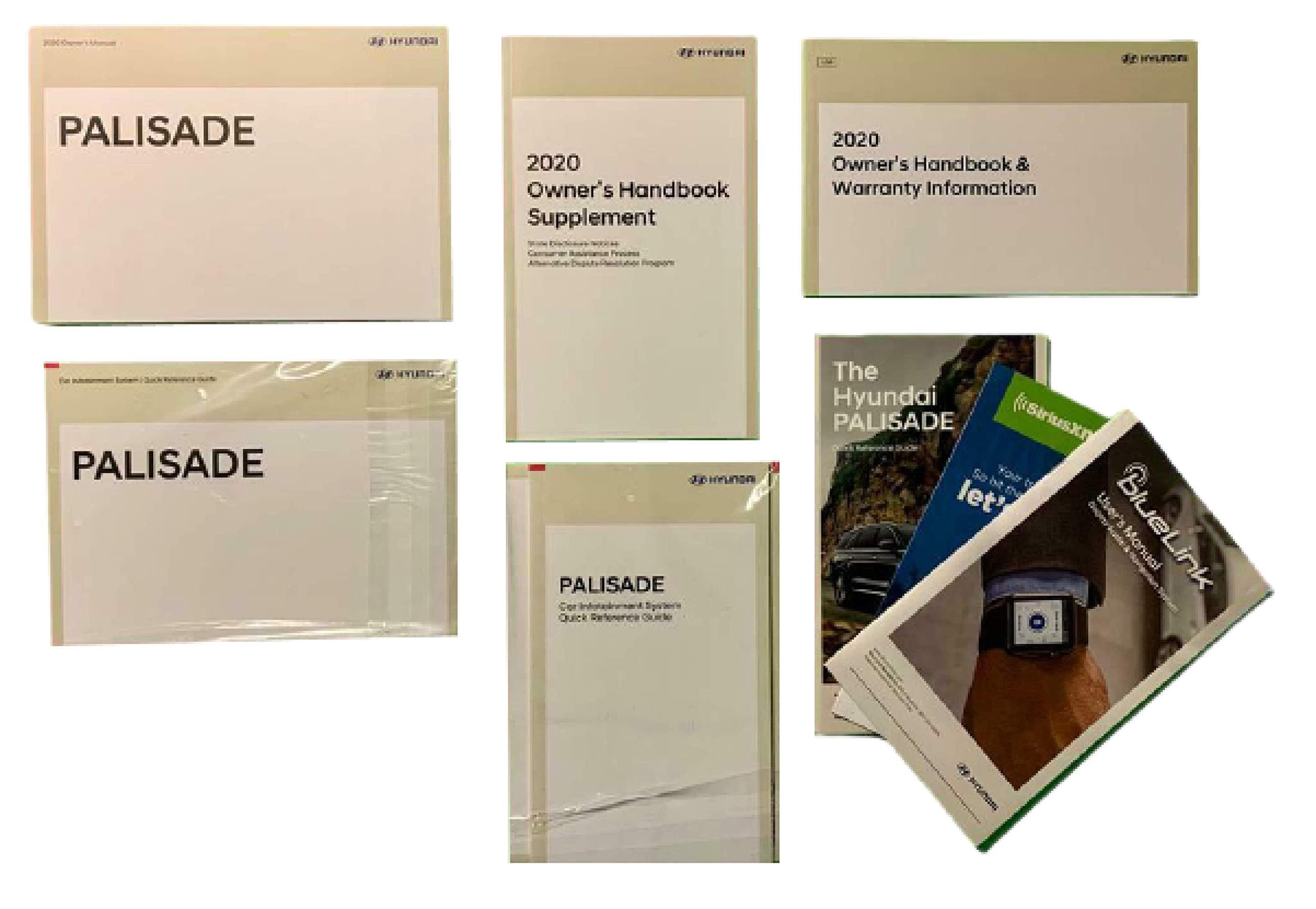 2020 Hyundai Palisade Owners Manual