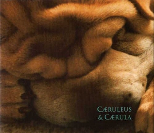 Caeruleus & Caerula