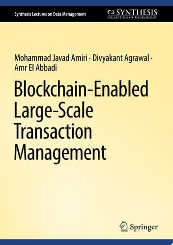 Blockchain-Enabled Large-Scale Transaction Management