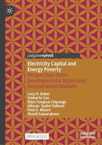 Electricity Capital and Energy Poverty Perspectives From Developmental States and Decentralised Markets