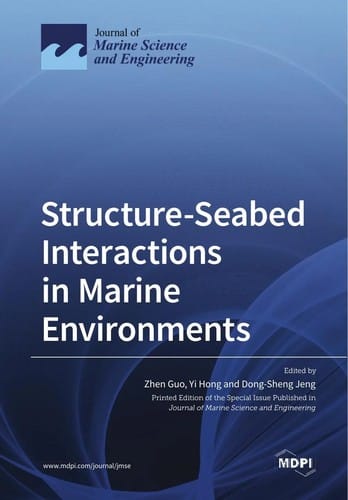 Structure-Seabed Interactions in Marine Environments