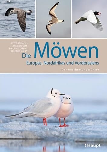 Die Möwen Europas, Nordafrikas und Vorderasiens der Bestimmungsführer