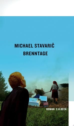 Brenntage Roman