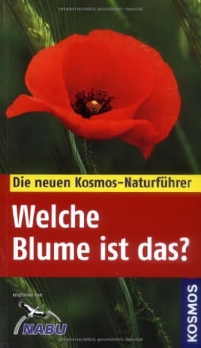 Welche Blume ist das?