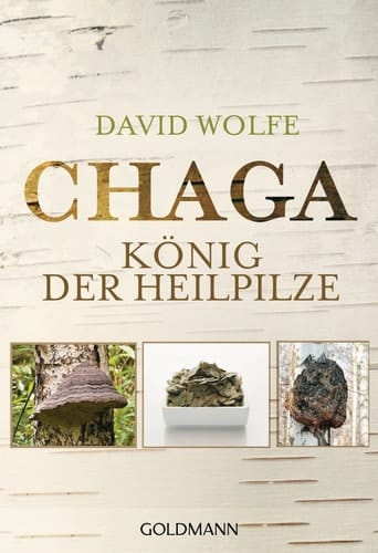 Chaga König der Heilpilze