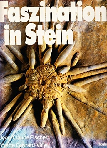 Faszination in Stein die schönsten Fossilien in Farbe