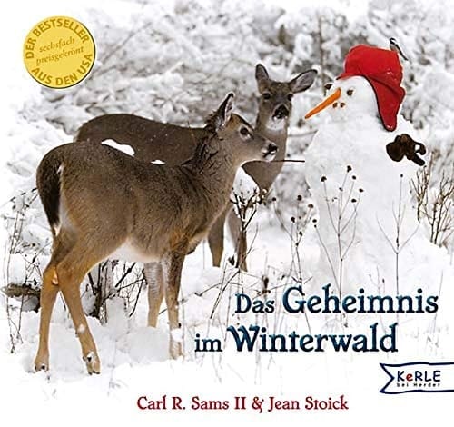 Das Geheimnis im Winterwald ein fotografisches Wintermärchen
