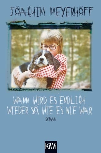 Wann wird es endlich wieder so, wie es nie war Roman