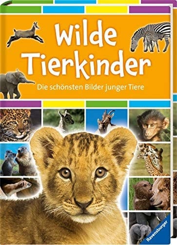 Wilde Tierkinder die schönsten Bilder junger Tiere