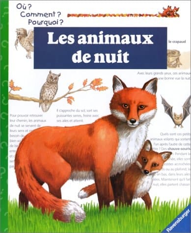 Les animaux de nuit