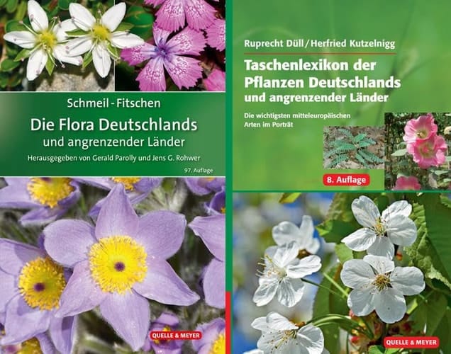 Taschenlexikon der Pflanzen Deutschlands und angrenzender Länder die wichtigsten mitteleuropäischen Arten im Portrait