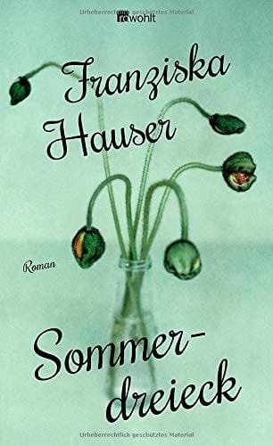 Sommerdreieck Roman