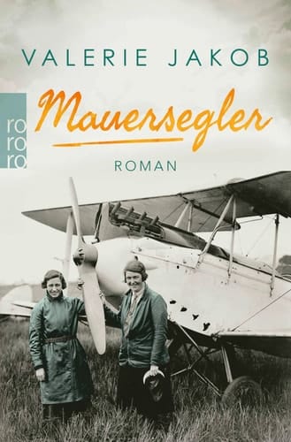 Mauersegler Roman