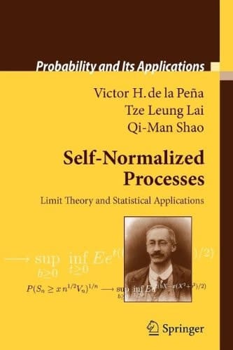 Self-Normalized Processes Limit Theory and Statistical Applications