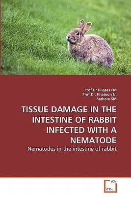 TISSUE DAMAGE IN THE INTESTINE OF RABBIT INFECTED WITH A NEMATODE: Nematodes in the intestine of rabbit