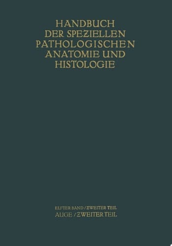 Auge Zweiter Teil