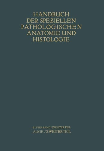 Auge Zweiter Teil