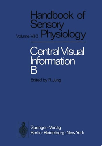 Visual Centers in the Brain