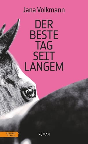 Der beste Tag seit langem Roman