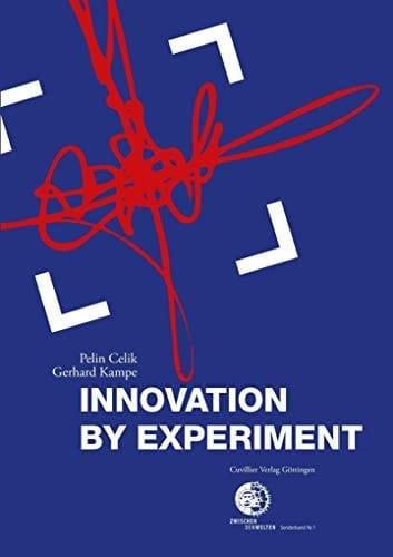 Innovation by Experiment Design Als Ressource Für Wirtschaftliche Entwicklung und Demografische Herausforderungen in Der Region